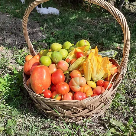 La Casa Di Colle Casa de Férias *