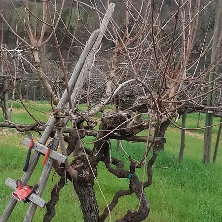 La Casa Di Colle Casa de Férias Dicomano